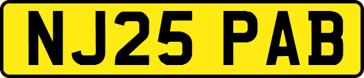 NJ25PAB
