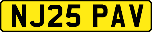 NJ25PAV