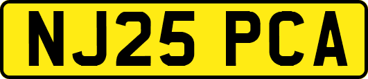 NJ25PCA