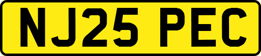 NJ25PEC
