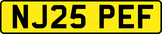 NJ25PEF