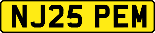 NJ25PEM