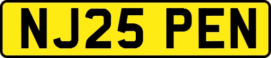 NJ25PEN
