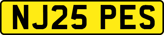 NJ25PES
