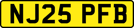 NJ25PFB