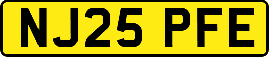 NJ25PFE