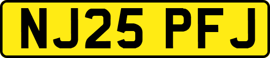 NJ25PFJ