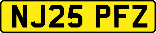 NJ25PFZ