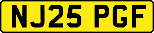 NJ25PGF