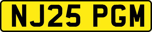 NJ25PGM