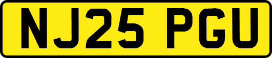NJ25PGU