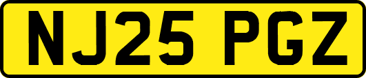 NJ25PGZ
