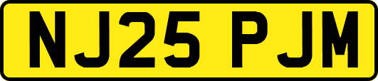 NJ25PJM