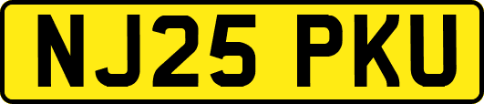 NJ25PKU