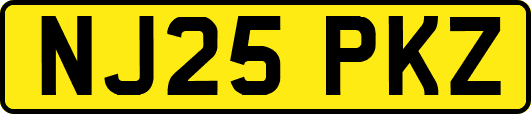 NJ25PKZ