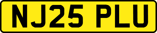 NJ25PLU