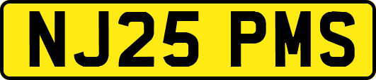 NJ25PMS