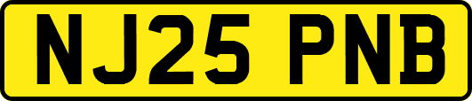 NJ25PNB