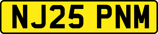NJ25PNM