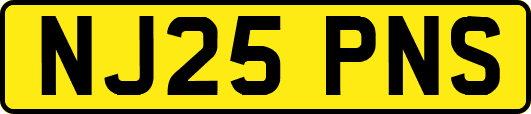 NJ25PNS