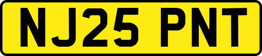 NJ25PNT