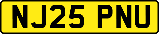 NJ25PNU