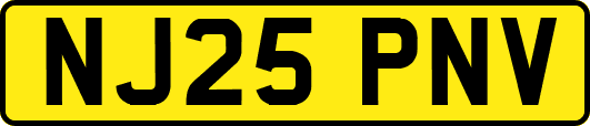NJ25PNV