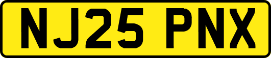 NJ25PNX