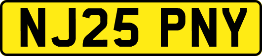 NJ25PNY