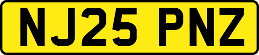 NJ25PNZ