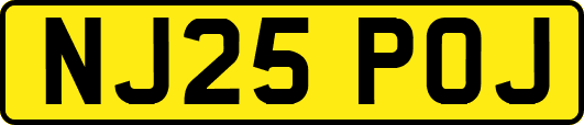 NJ25POJ