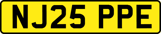 NJ25PPE