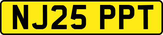 NJ25PPT