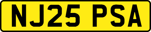 NJ25PSA