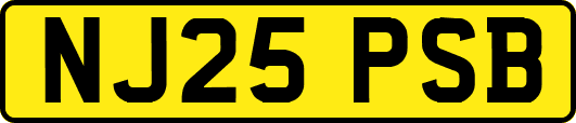 NJ25PSB
