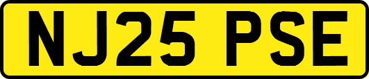 NJ25PSE
