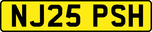 NJ25PSH