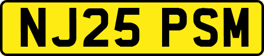 NJ25PSM