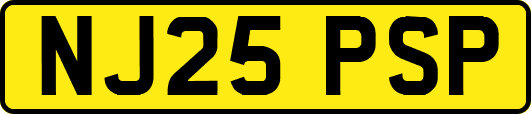 NJ25PSP