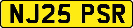 NJ25PSR
