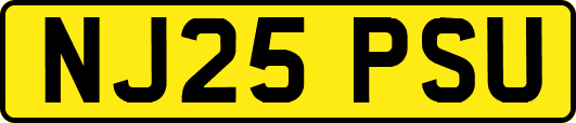 NJ25PSU