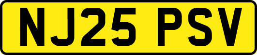 NJ25PSV