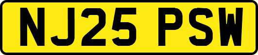 NJ25PSW