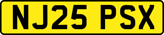 NJ25PSX
