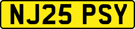 NJ25PSY