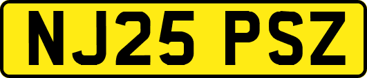 NJ25PSZ