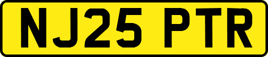 NJ25PTR