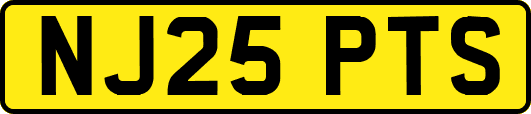 NJ25PTS