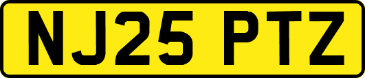 NJ25PTZ