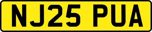 NJ25PUA